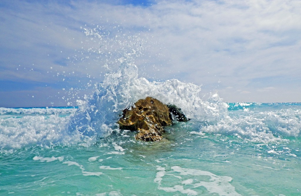 IMGP0114a_modifié-1