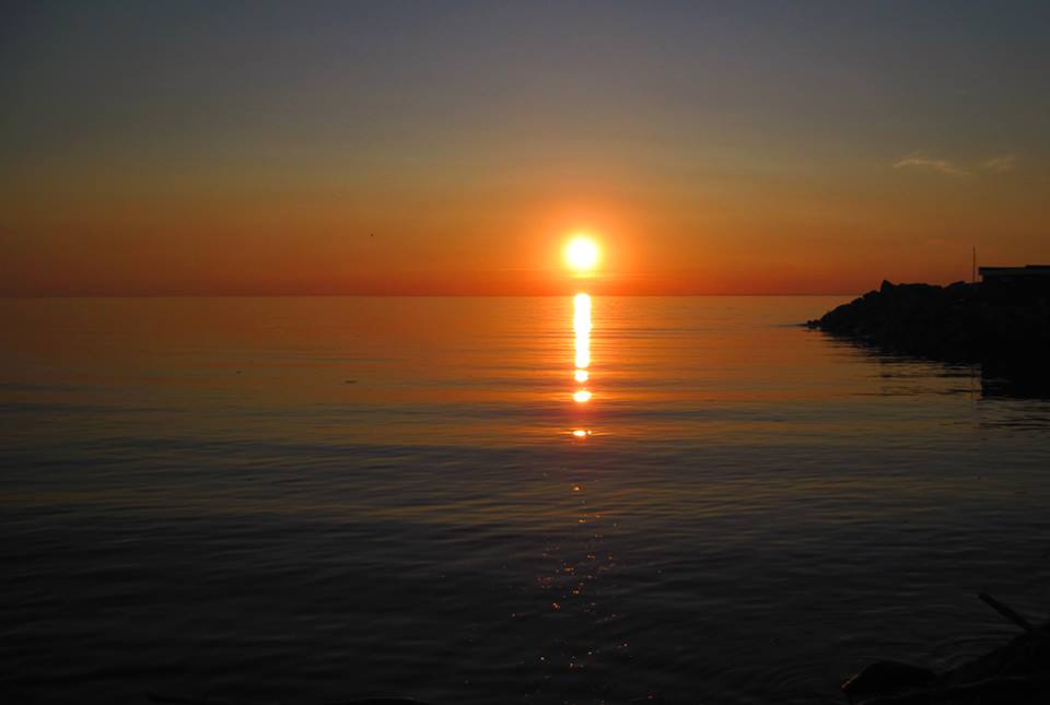 10593037_10204524232091490_7958288176820685631_n